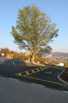 POKOPALIŠČE TRATE – ŠKOFLJICA KRASIJO NOVE PARKIRNE POVRŠINE 04